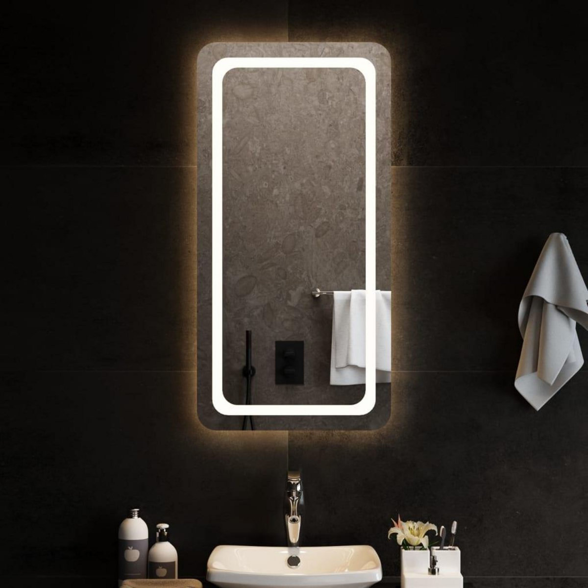VIDAXL Miroir de salle de bain a LED 50x100 cm