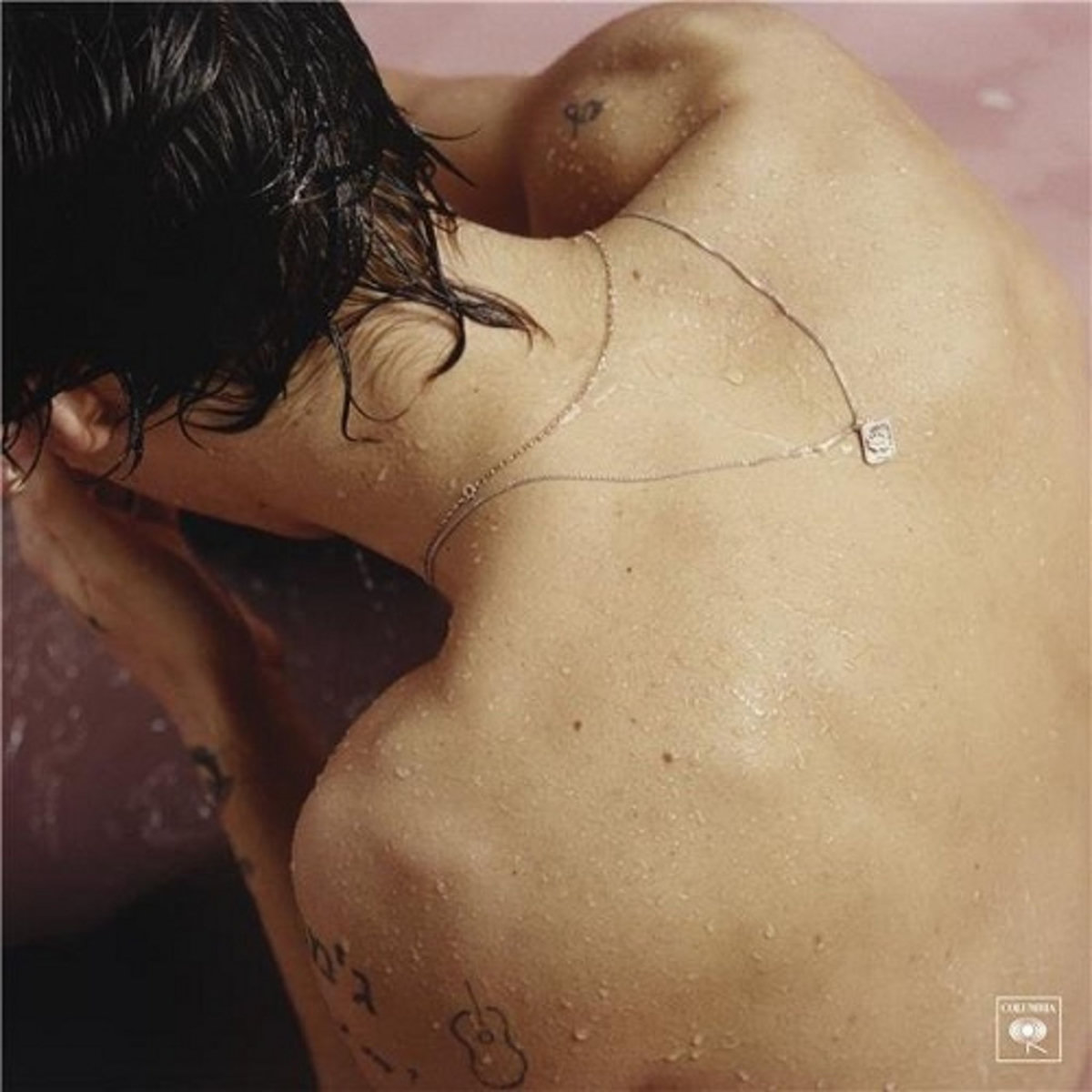Harry Styles - Harry Styles Vinyle
