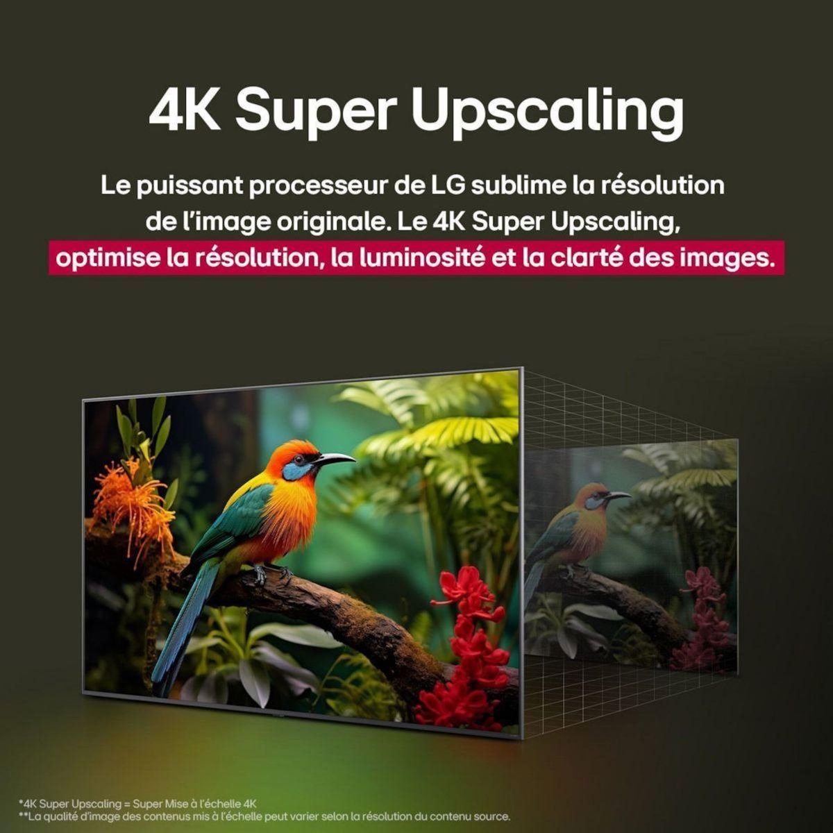 LG TV LED 75QNED84A 2025 (189cm)