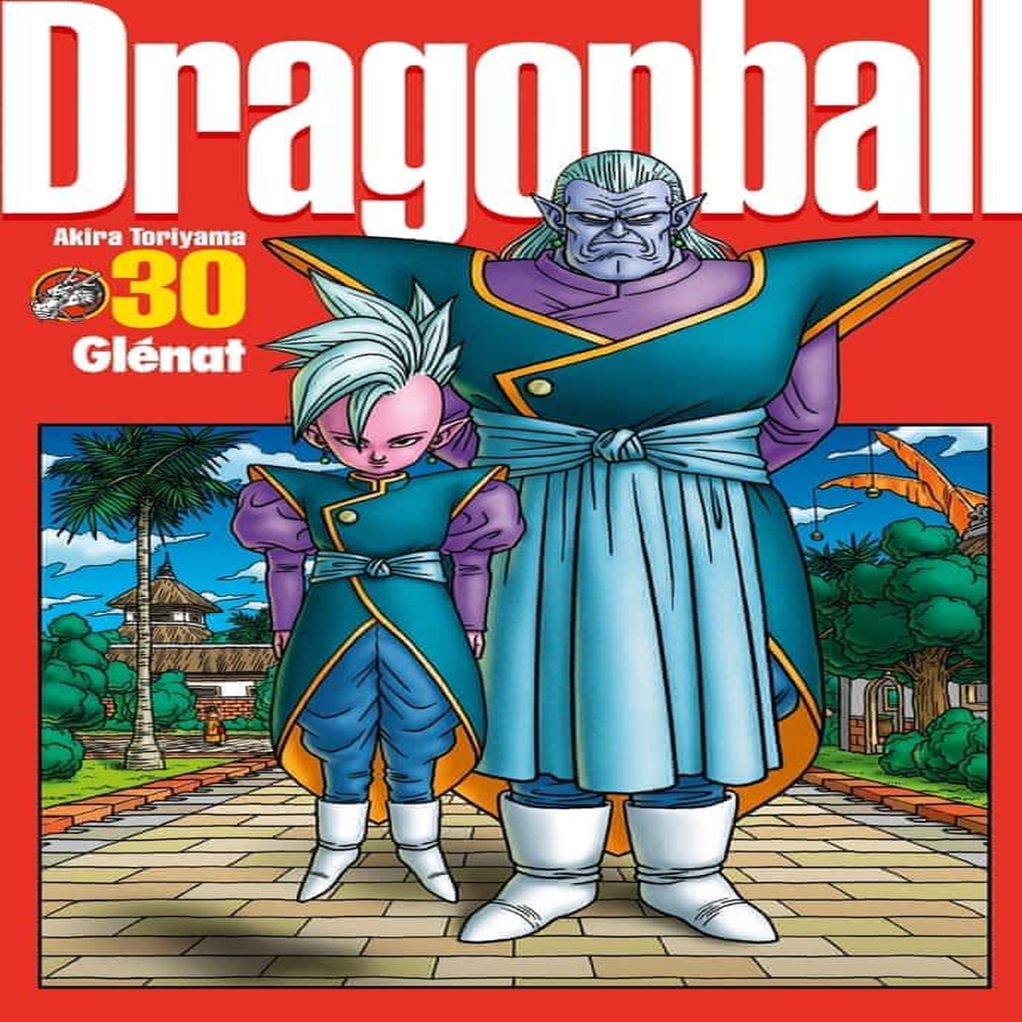 DRAGON BALL PERFECT EDITION TOME 30, Toriyama Akira
