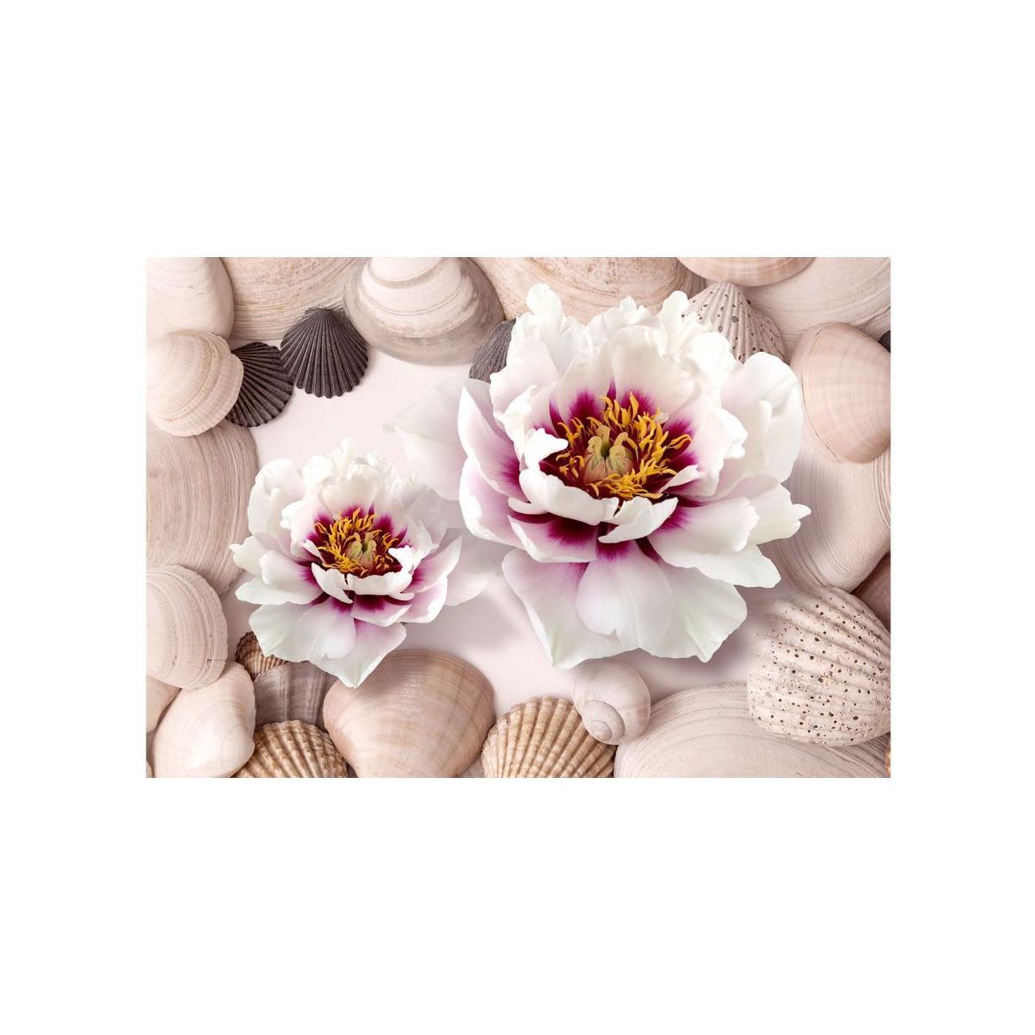 Voir la diapositive 2 : Paris Prix Papier peint  flowers & shells