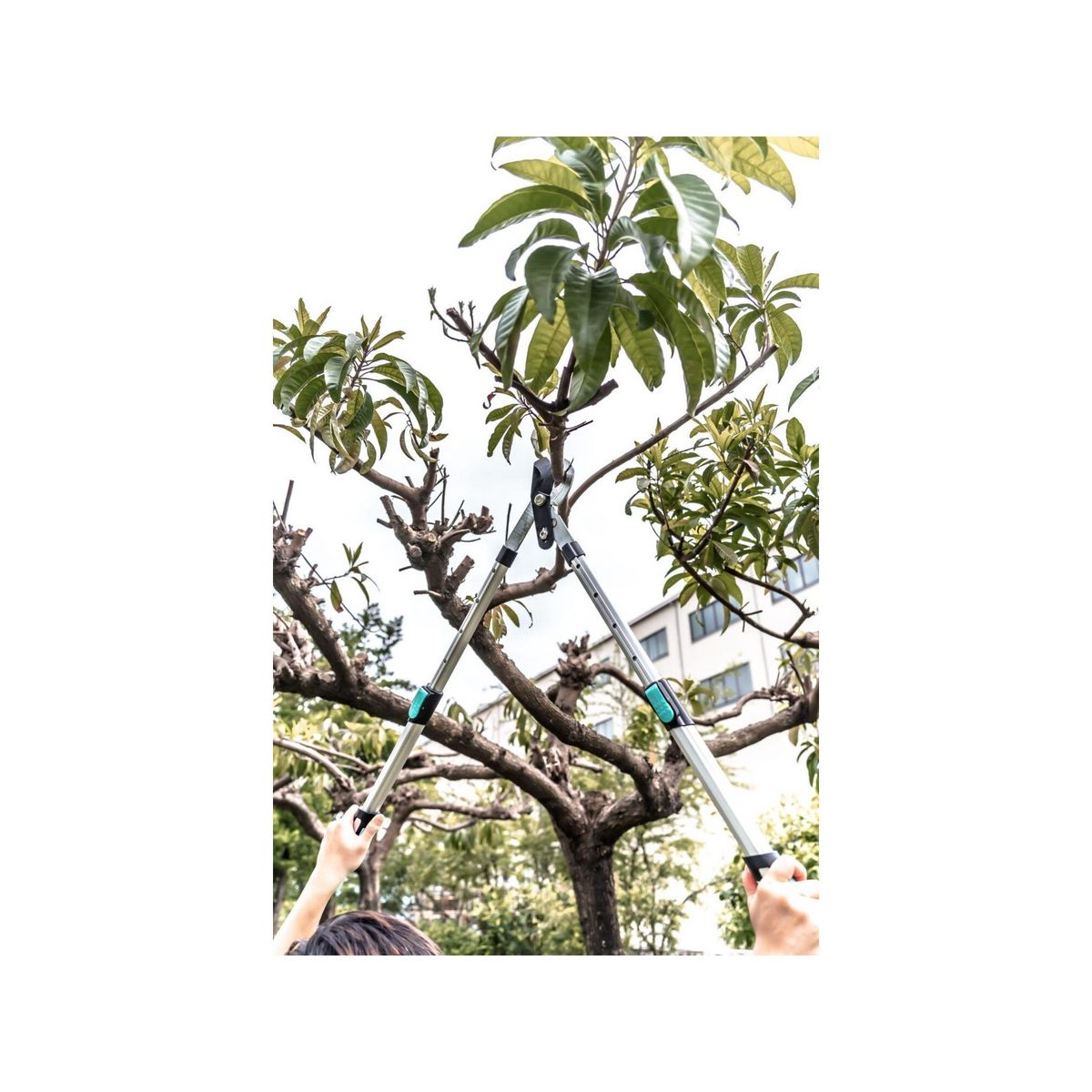 SUAN Coupe branche lame franche - Suan - Manche télescopique - Dimensions : 88,5 x 29,5 x 3 cm