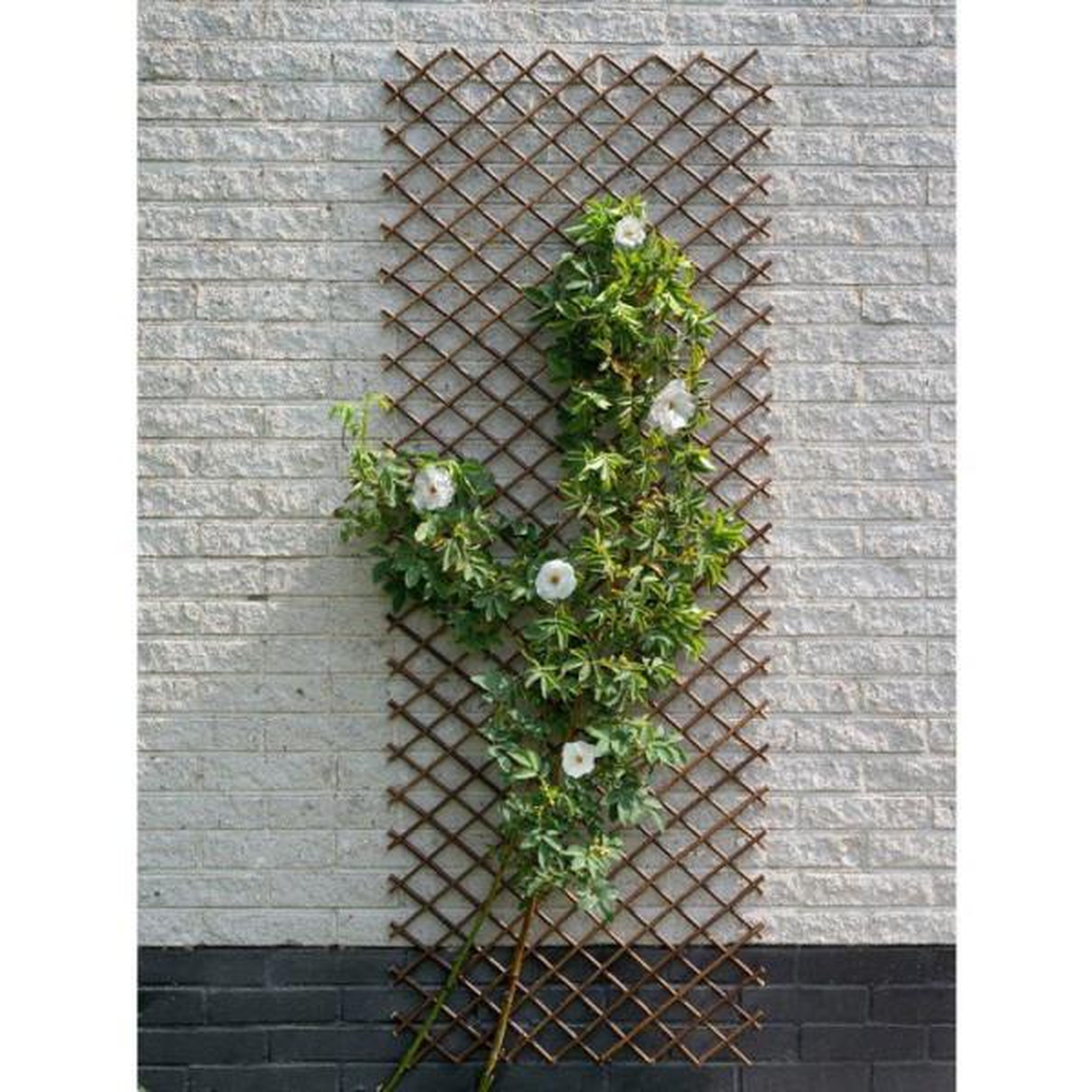 Voir la diapositive 2 : NATURE Nature treillis de jardin 30x180 cm saule naturel marron 446397