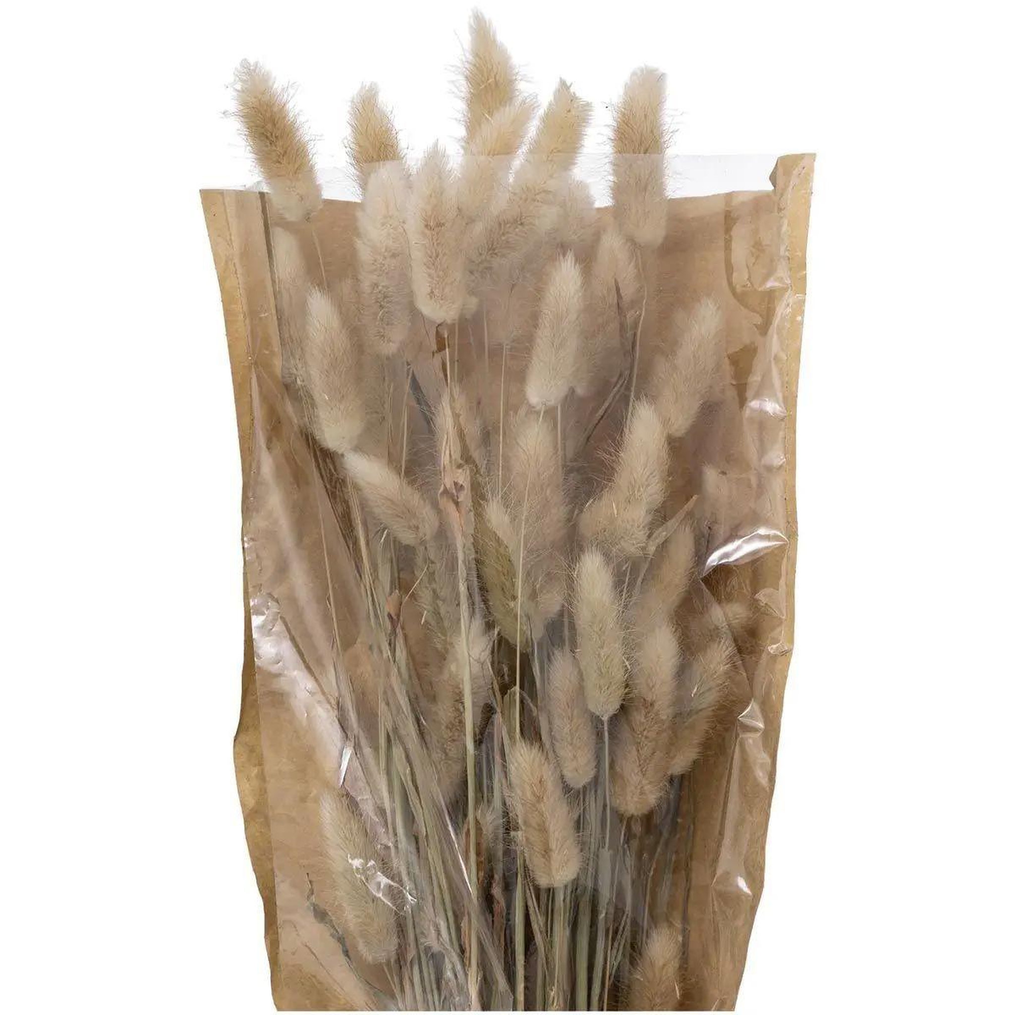 Voir la diapositive 2 : ATMOSPHERA Bouquet de fleurs  queue de lapin  58cm ivoire
