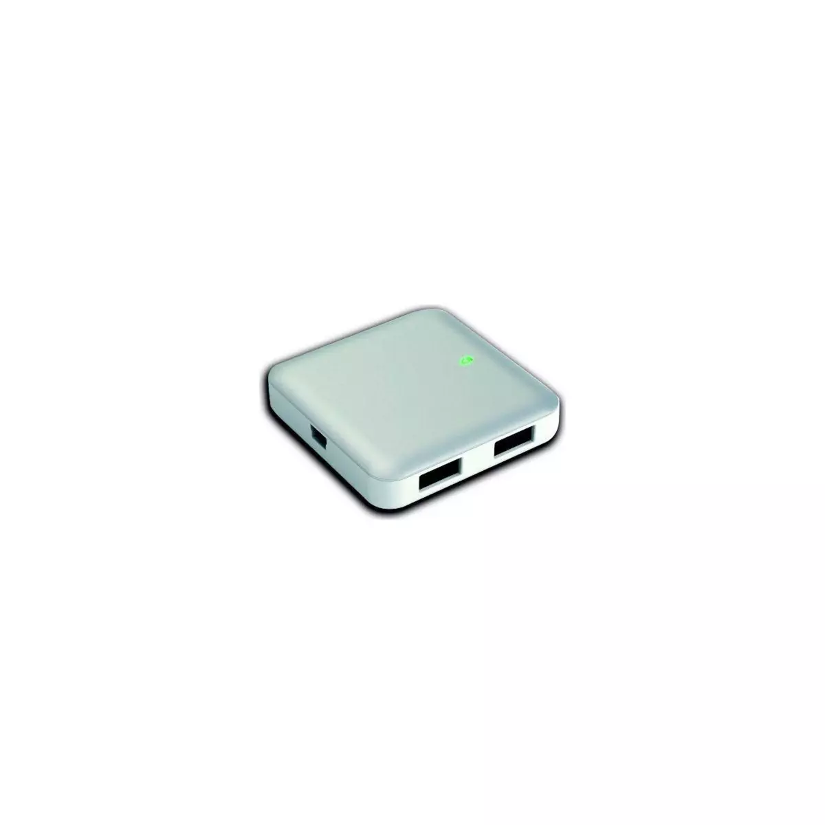 ESSENTIEL B Hub Granite USB-A/mini/ 4 ports USB-A