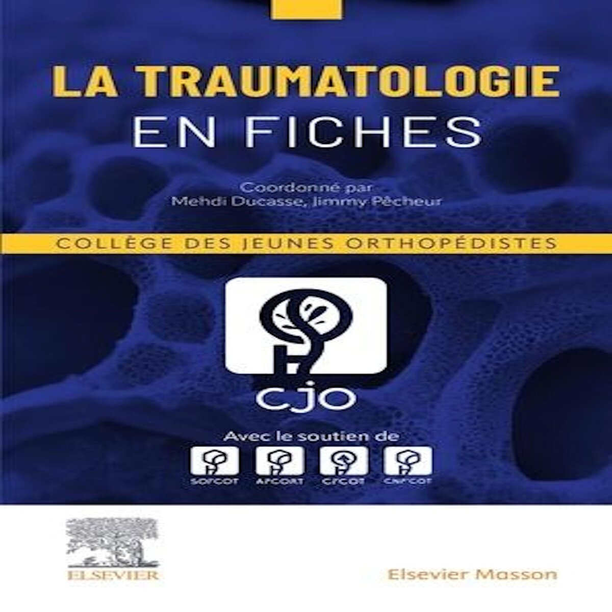 LA TRAUMATOLOGIE EN FICHES, Ducasse Mehdi