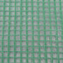 Voir la diapositive 4 : VIDAXL Couverture de remplacement de serre (0,5 m^2) 50x100x190 cm Vert