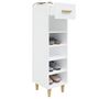 Voir la diapositive 5 : VIDAXL Armoire a chaussure Blanc brillant 30x35x105 cm Bois ingenierie