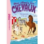 MES AMIS LES CHEVAUX TOME 14 : UNE JOURNEE A LA MER, Thalmann Sophie