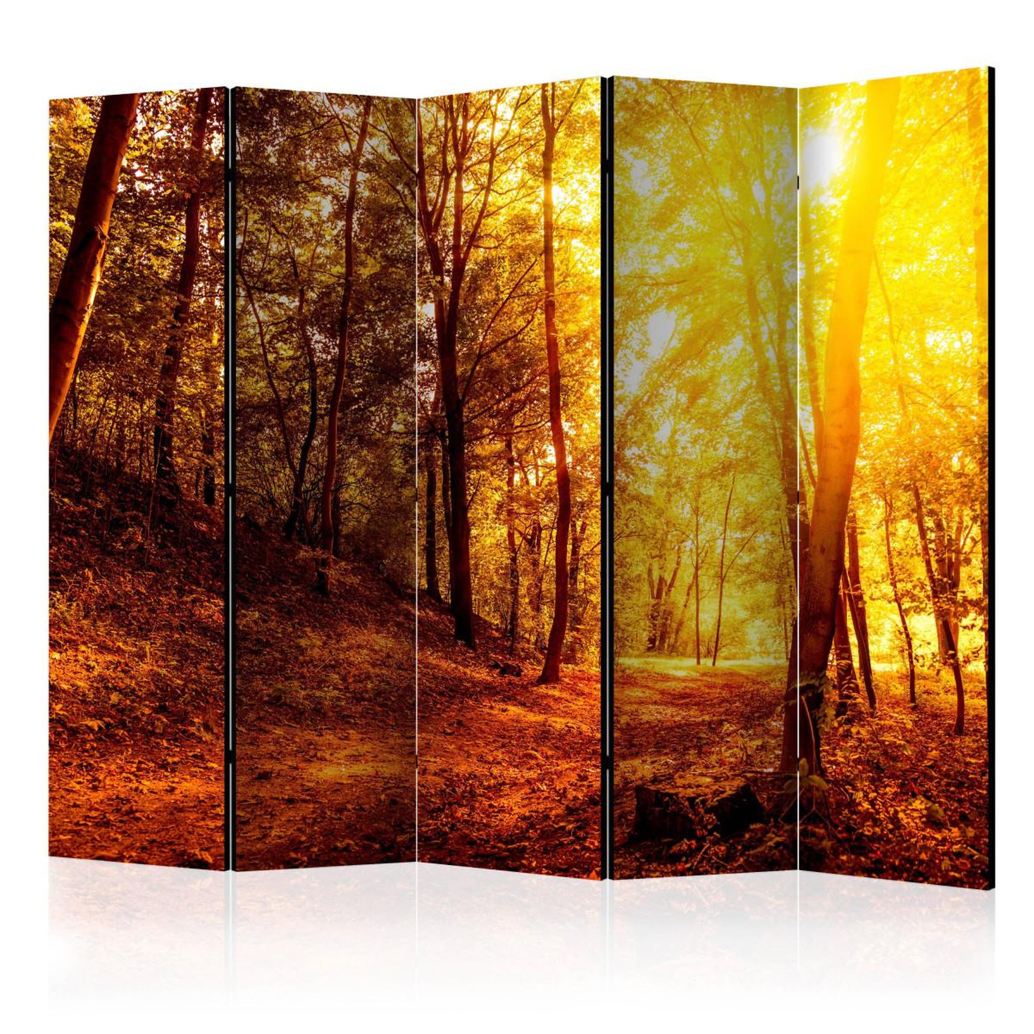 Paris Prix Paravent 5 volets  autumn walk  172x225cm