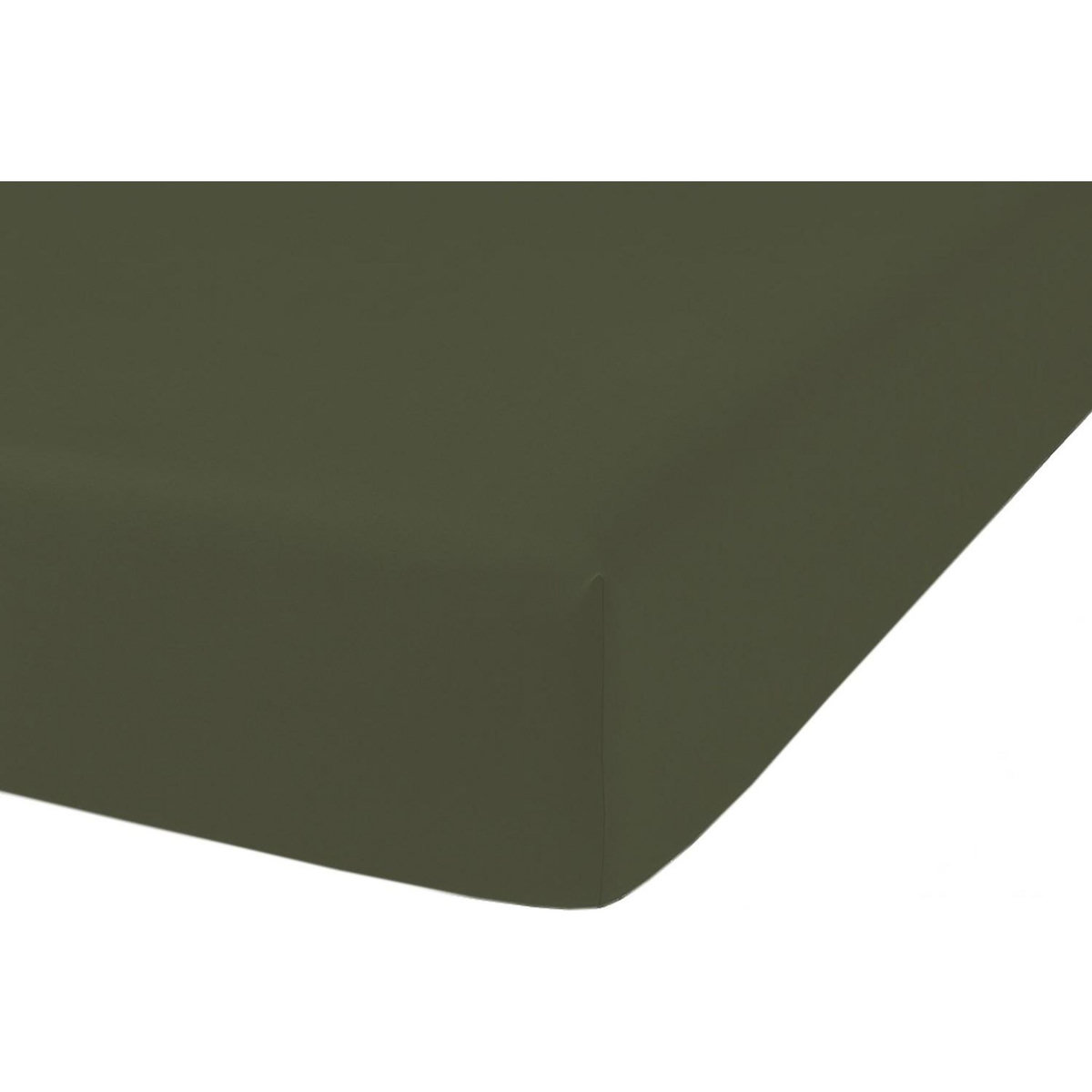 Home collection Drap housse percale de coton - kaki