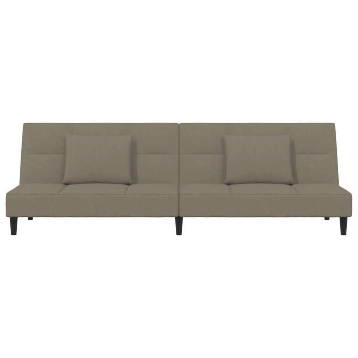 VIDAXL Canape-lit a 2 places avec deux oreillers Gris clair Velours