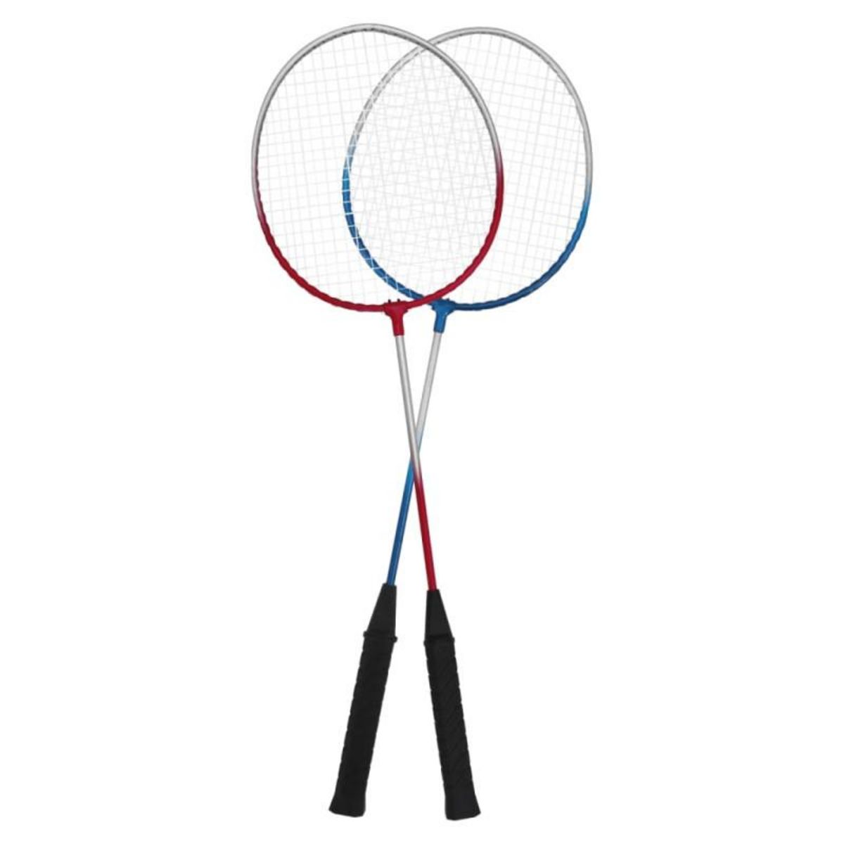 VIDAXL Set de badminton avec 4 raquettes et filet 620x151 cm