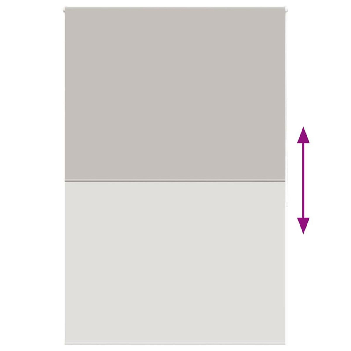 VIDAXL Store enrouleur de douche 160x240 cm largeur du tissu 156 cm