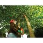Voir la diapositive 4 : Black & Decker Elagueur sur perche 25 cm - 800 W 