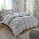 DODO Couette 50% duvet de canard Proneem - TEMPÉRÉE. Coloris disponibles : Blanc