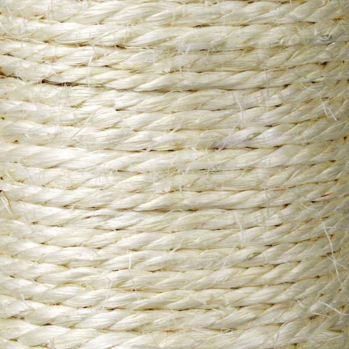 Paris Prix Arbre à Chat  4 Plateformes  160cm Anthracite