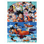 Voir la diapositive 2 : EDUCA Puzzle 2 x 100 pcs - Dragon Ball