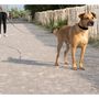 Voir la diapositive 2 : LOVE STORY Longe pour chien - Longueur 9 m