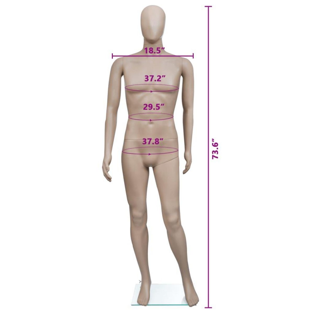 VIDAXL Mannequin de vitrine Homme Tete ronde