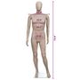 Voir la diapositive 6 : VIDAXL Mannequin de vitrine Homme Tete ronde