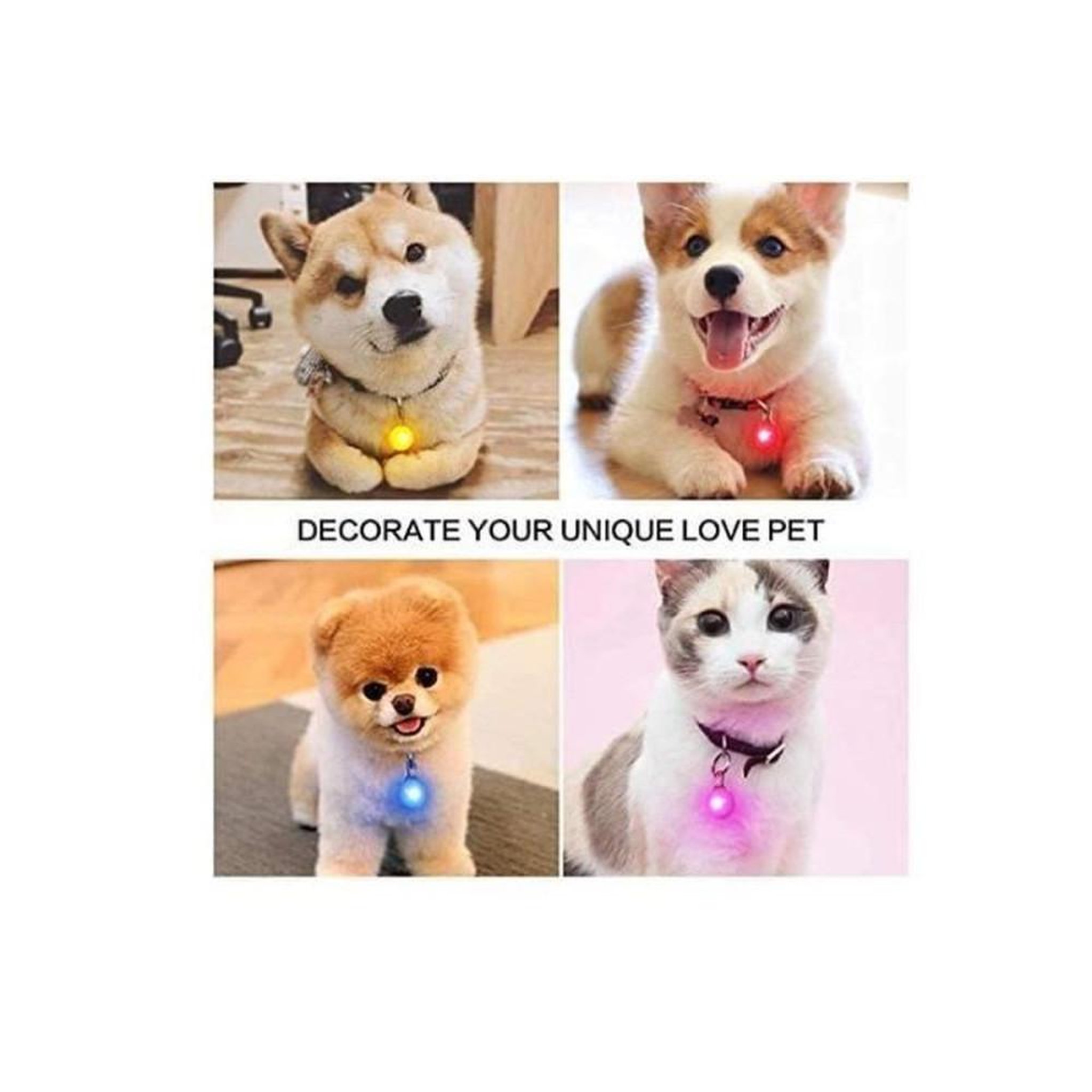 Voir la diapositive 3 : Pendentifs LED de sécurité pour chien étanches, lot de 6, 3 modes lumière (clignotant lent/rapide, fixe)