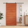 Voir la diapositive 1 : VIDAXL Porte de grange marron cire 100x208 cm bois massif de pin