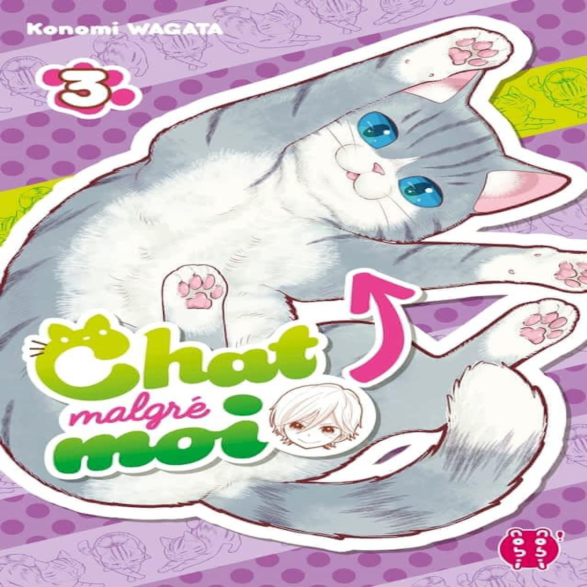 CHAT MALGRE MOI TOME 3, Wagata Konomi
