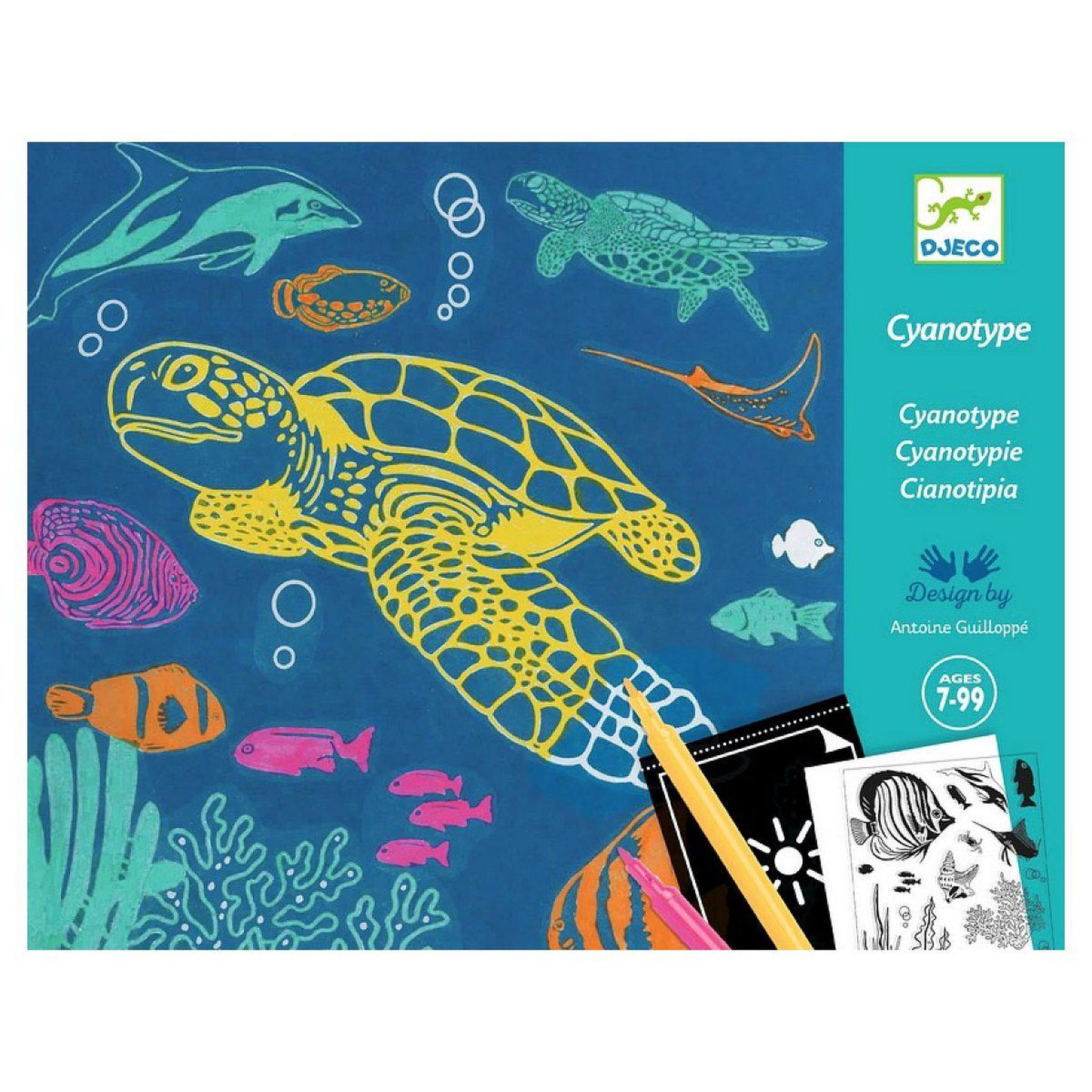 Djeco Coffret cyanotype : outremer