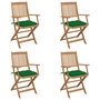 Voir la diapositive 1 : VIDAXL Chaises pliables de jardin lot de 4 avec coussins Bois d'acacia