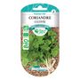 Voir la diapositive 2 : LES DOIGTS VERTS Graines Coriandre cultivée BIO Les Doigts Verts