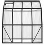 VIDAXL Serre avec cadre de base anthracite 6,43 m^2 Aluminium