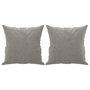 Voir la diapositive 2 : VIDAXL Coussins decoratifs lot de 2 Gris clair 40x40 cm Velours