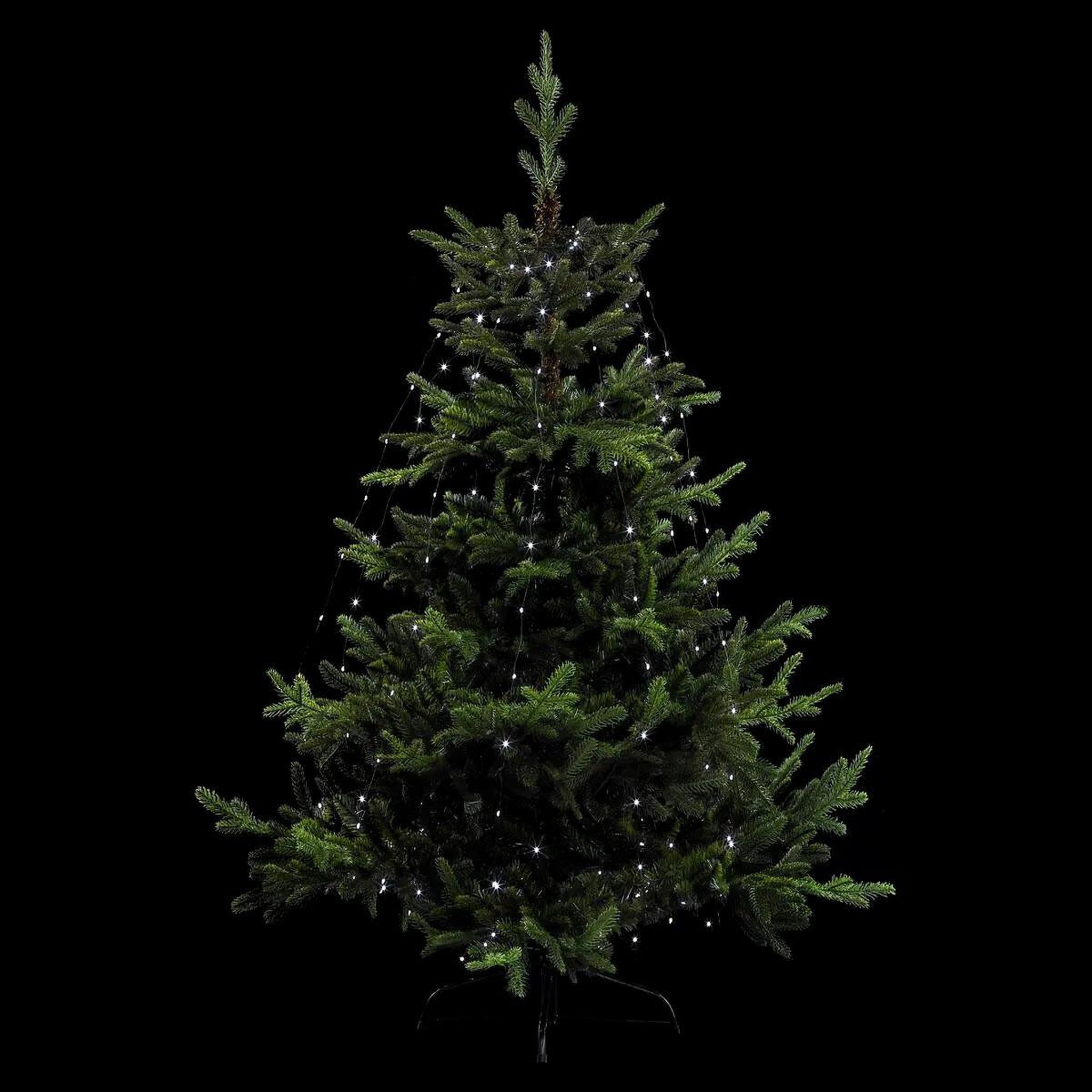 FEERIC LIGHT & CHRISTMAS Guirlande de noël  copp pluie  165cm blanc froid