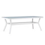 Voir la diapositive 1 : Paris Prix Table de Jardin  Virya  200cm Blanc & Gris