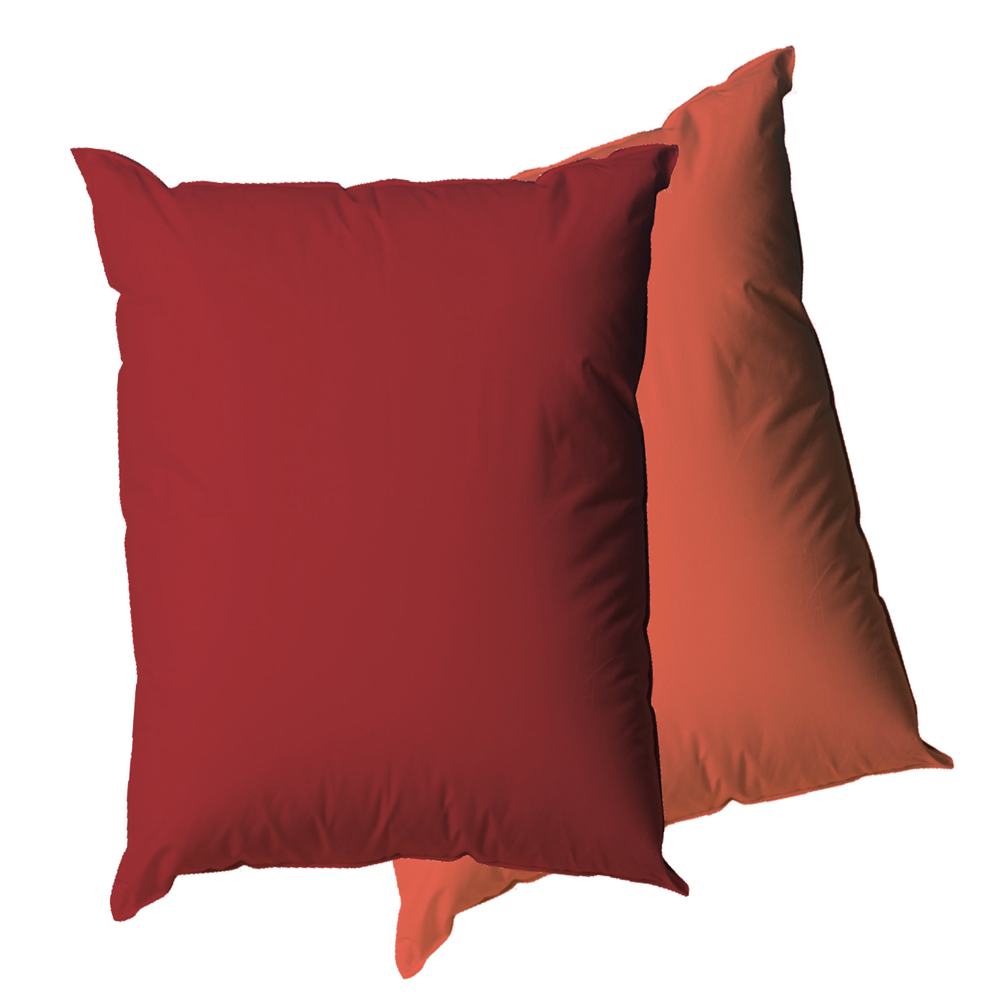 Voir la diapositive 1 : BLANREVE Lot de 2 oreillers confort moelleux bicolore en microfibre 