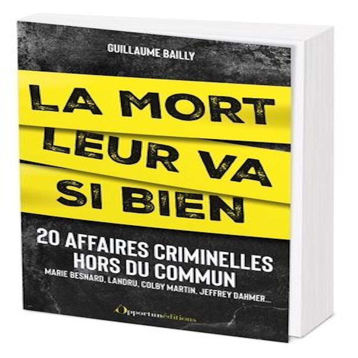 LA MORT LEUR VA SI BIEN. AFFAIRES CRIMINELLES HORS DU COMMUN, Bailly Guillaume
