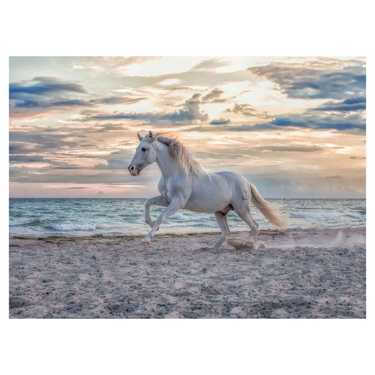 RAVENSBURGER Puzzle 500 pièces - Cheval sur la plage