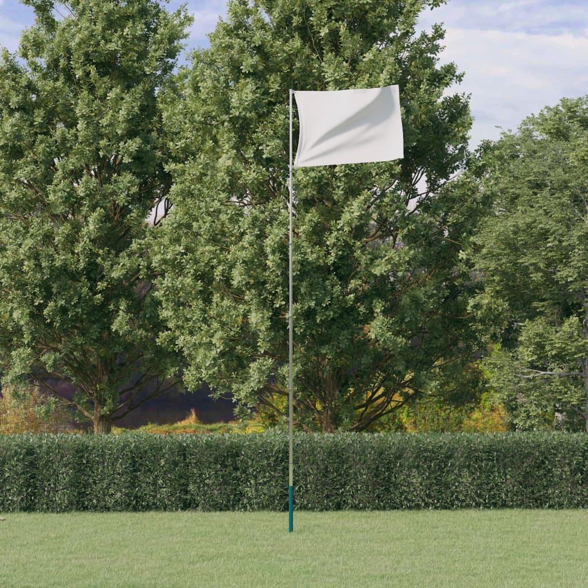Voir la diapositive 1 : VIDAXL Mat de drapeau telescopique Argente 5,55 m Aluminium