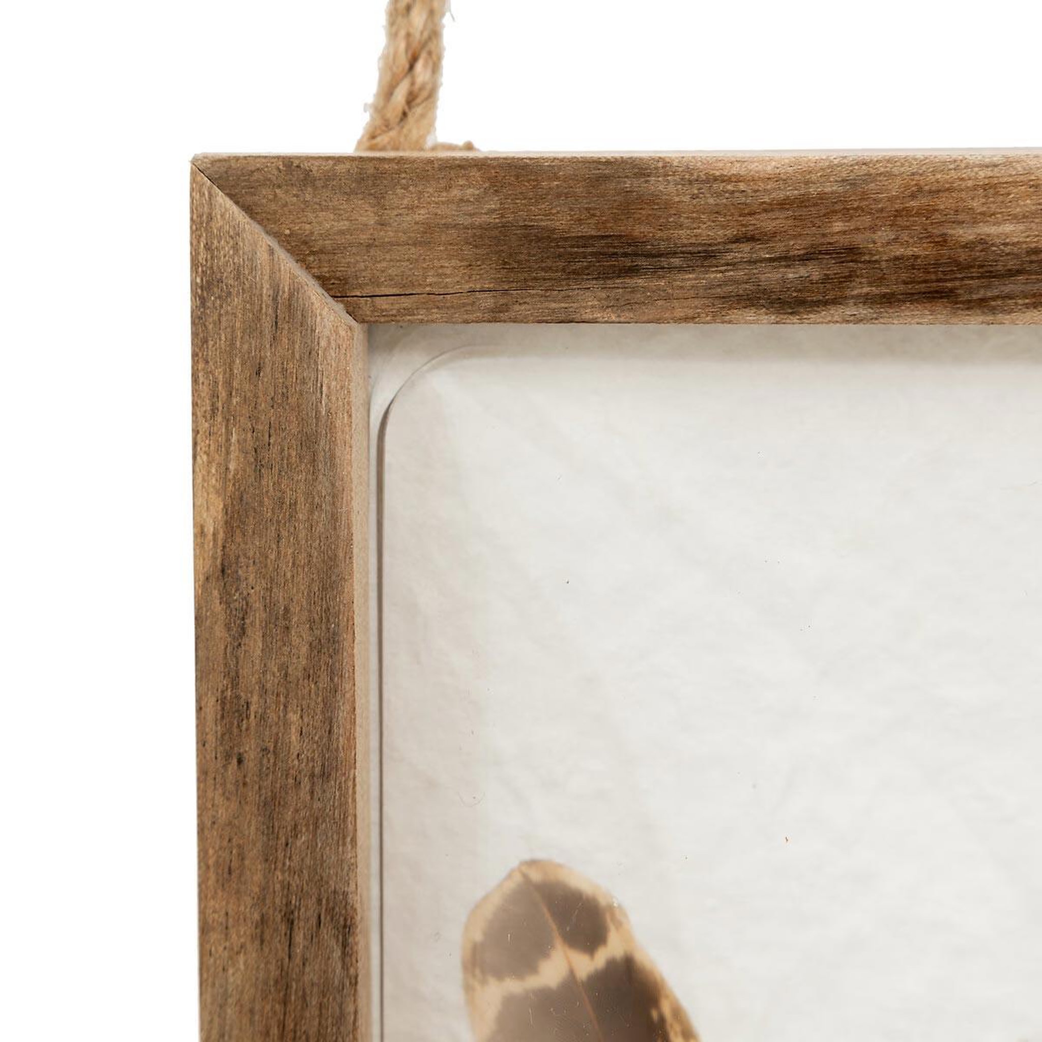 Voir la diapositive 3 : ATMOSPHERA Déco murale bombée plumes  jonas  34cm marron
