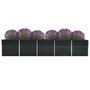 Voir la diapositive 2 : VIDAXL Lit sureleve de jardin Acier galvanise 400x80x77 cm Anthracite