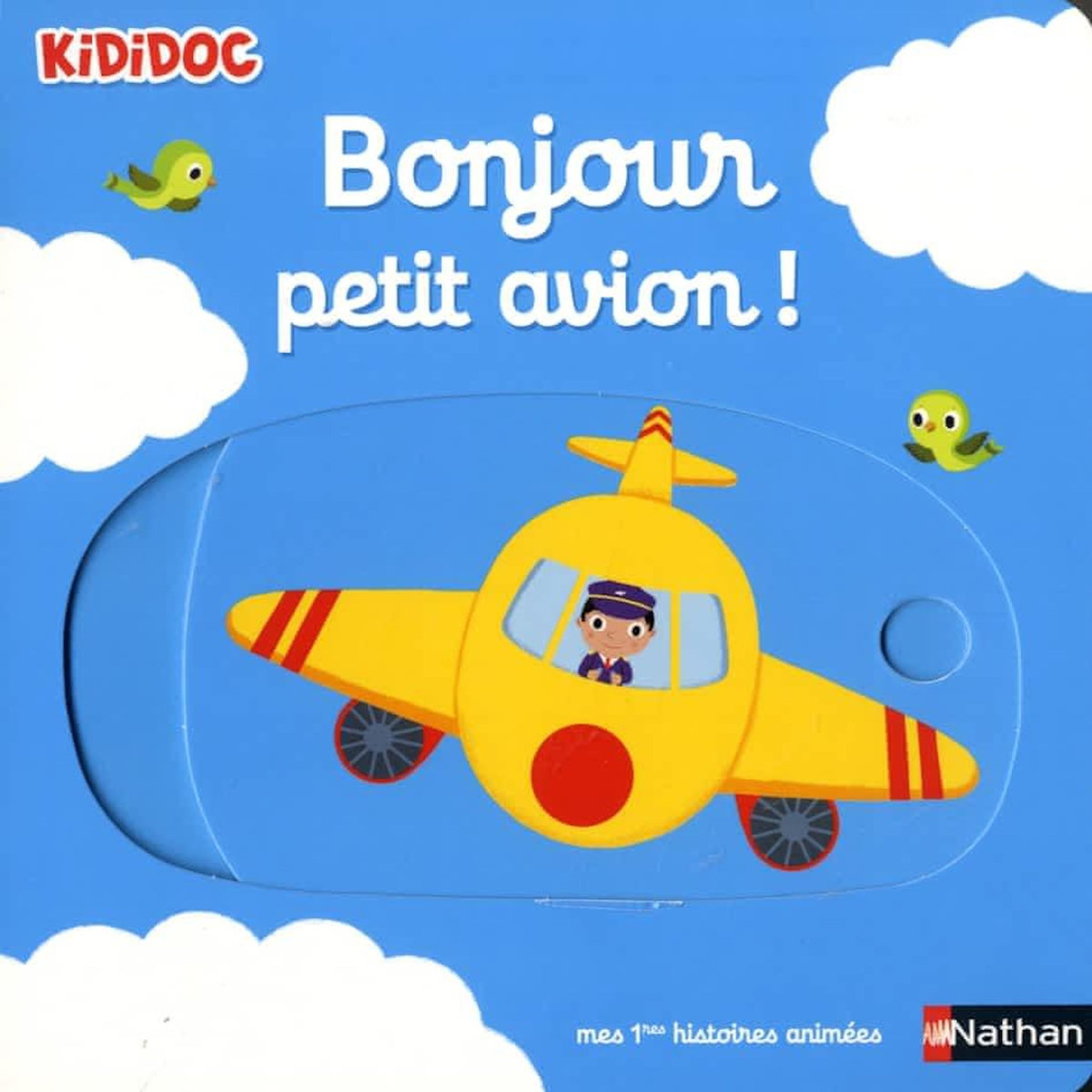 Bonjour petit avion !, Choux Nathalie