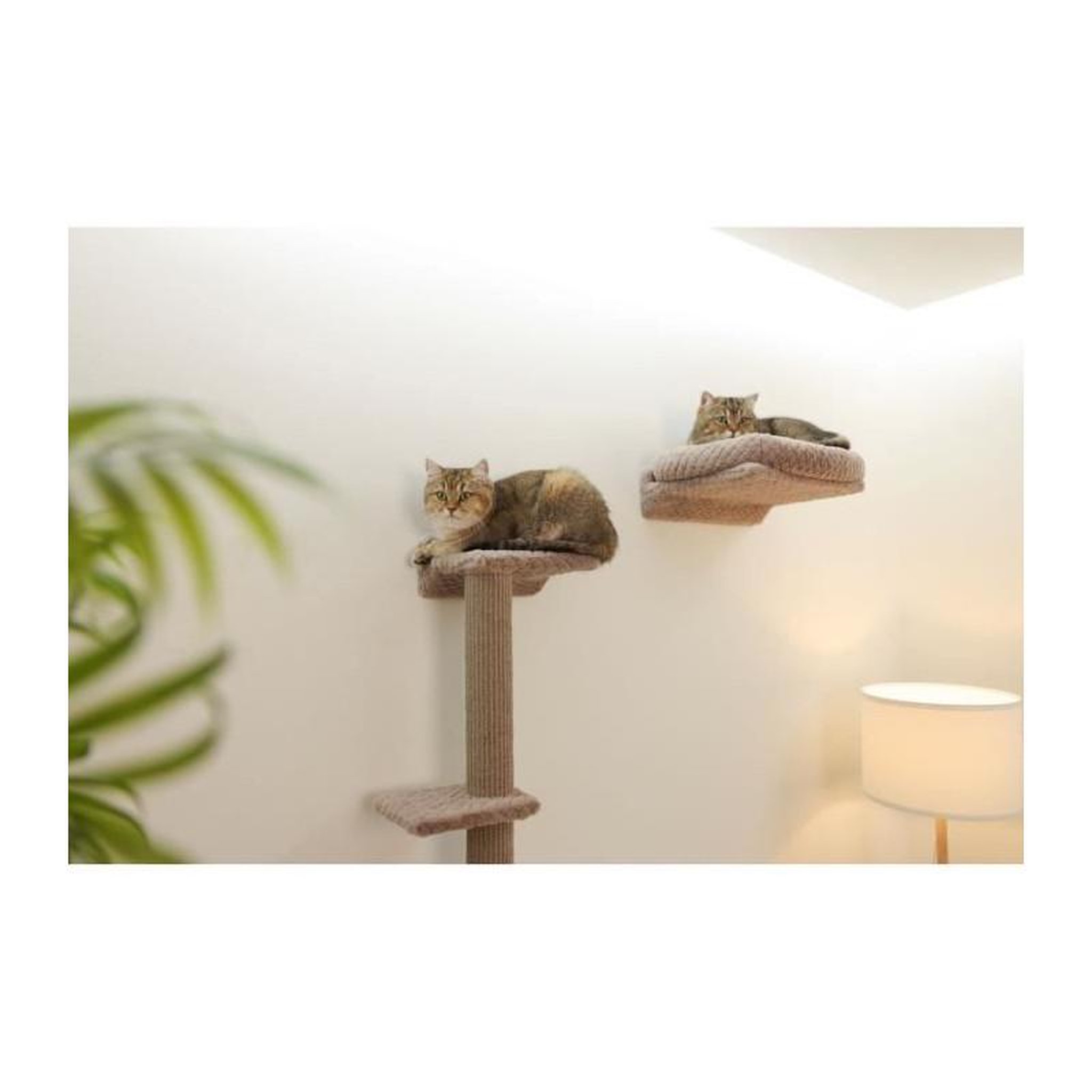 Voir la diapositive 5 : KERBL Mur d'escalade pour chats - KERBL - MONTE ALPI - 8 pieces - Gris - Tour d'escalade