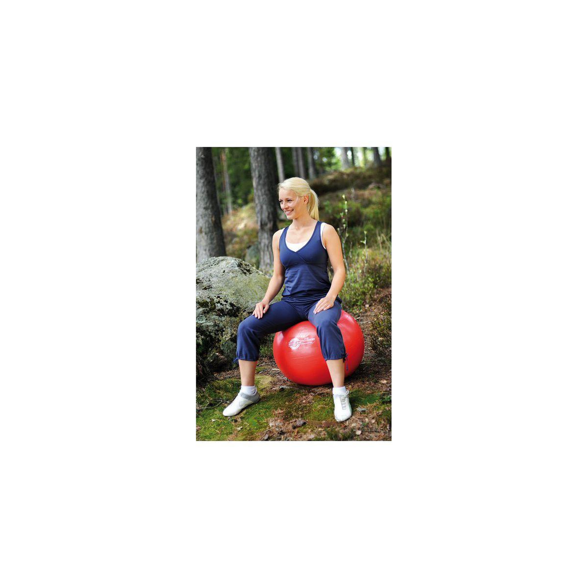 Voir la diapositive 3 : SISSEL Ballon de yoga Ball 65cm