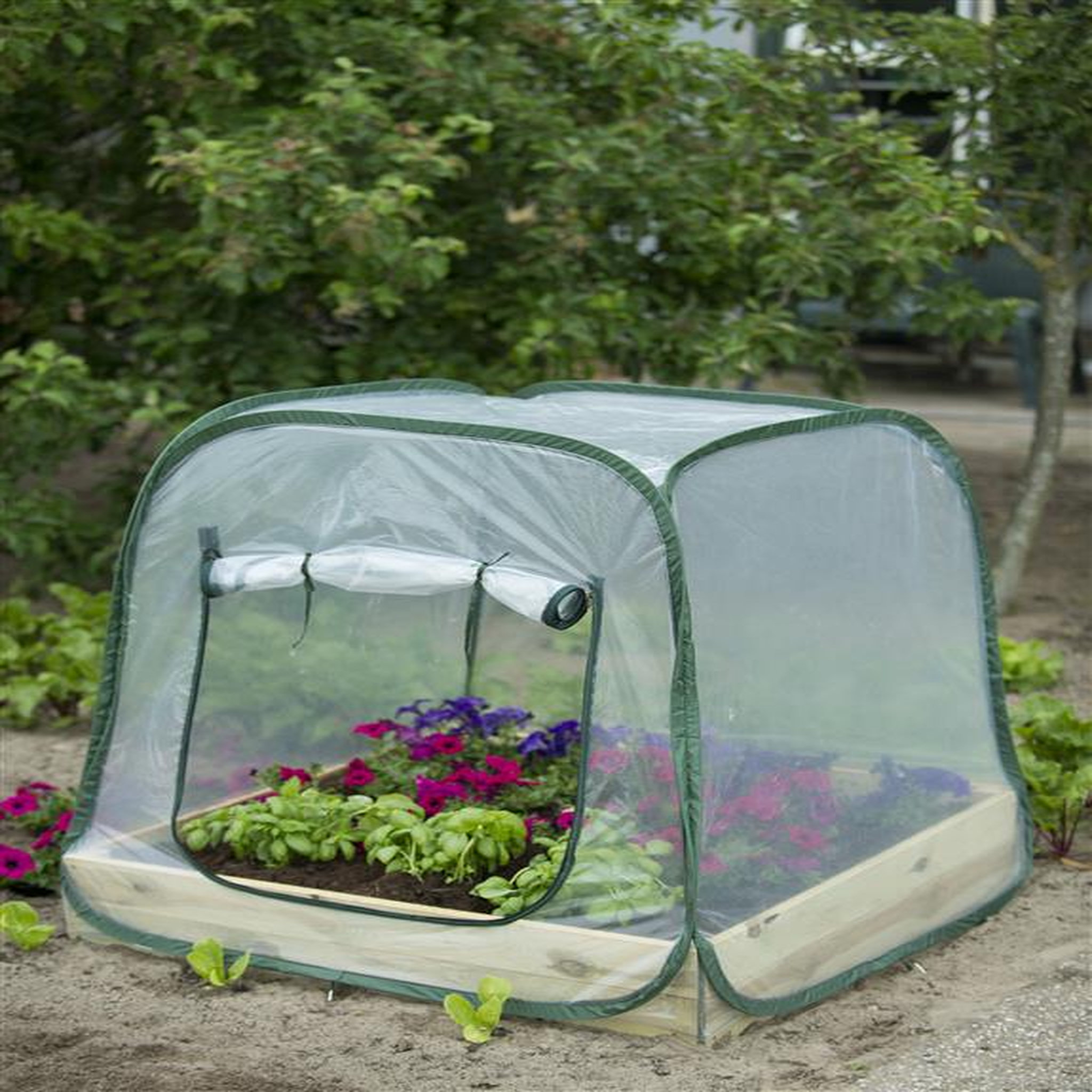 Voir la diapositive 2 : NATURE Serre de jardin pour carré potager - Pop-up