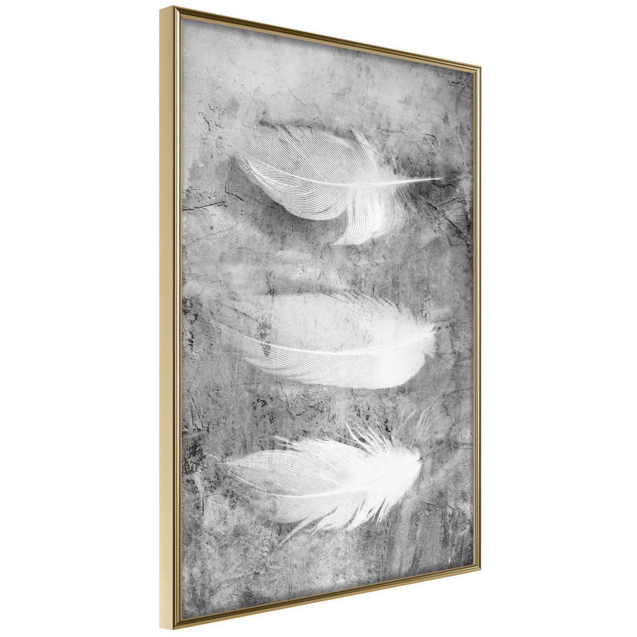 Voir la diapositive 1 : Paris Prix Affiche Murale Encadrée  Delicate Feathers