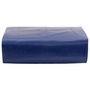 Voir la diapositive 2 : VIDAXL Bache bleu 3,5x5 m 650 g/m²