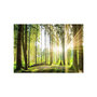 Voir la diapositive 2 : Paris Prix Papier Peint  Forest Tales