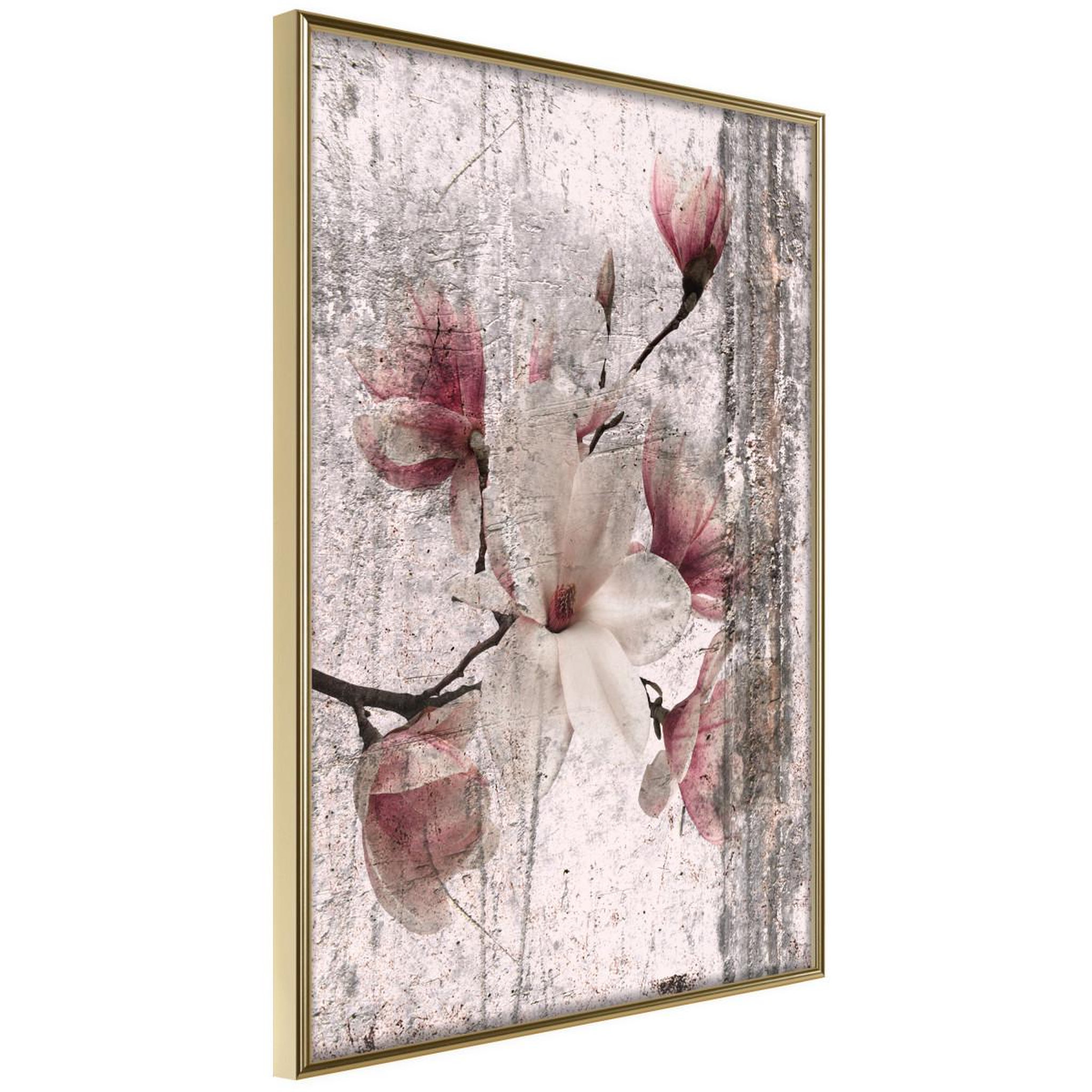 Voir la diapositive 1 : Paris Prix Affiche Murale Encadrée  Queen of Spring Flowers I