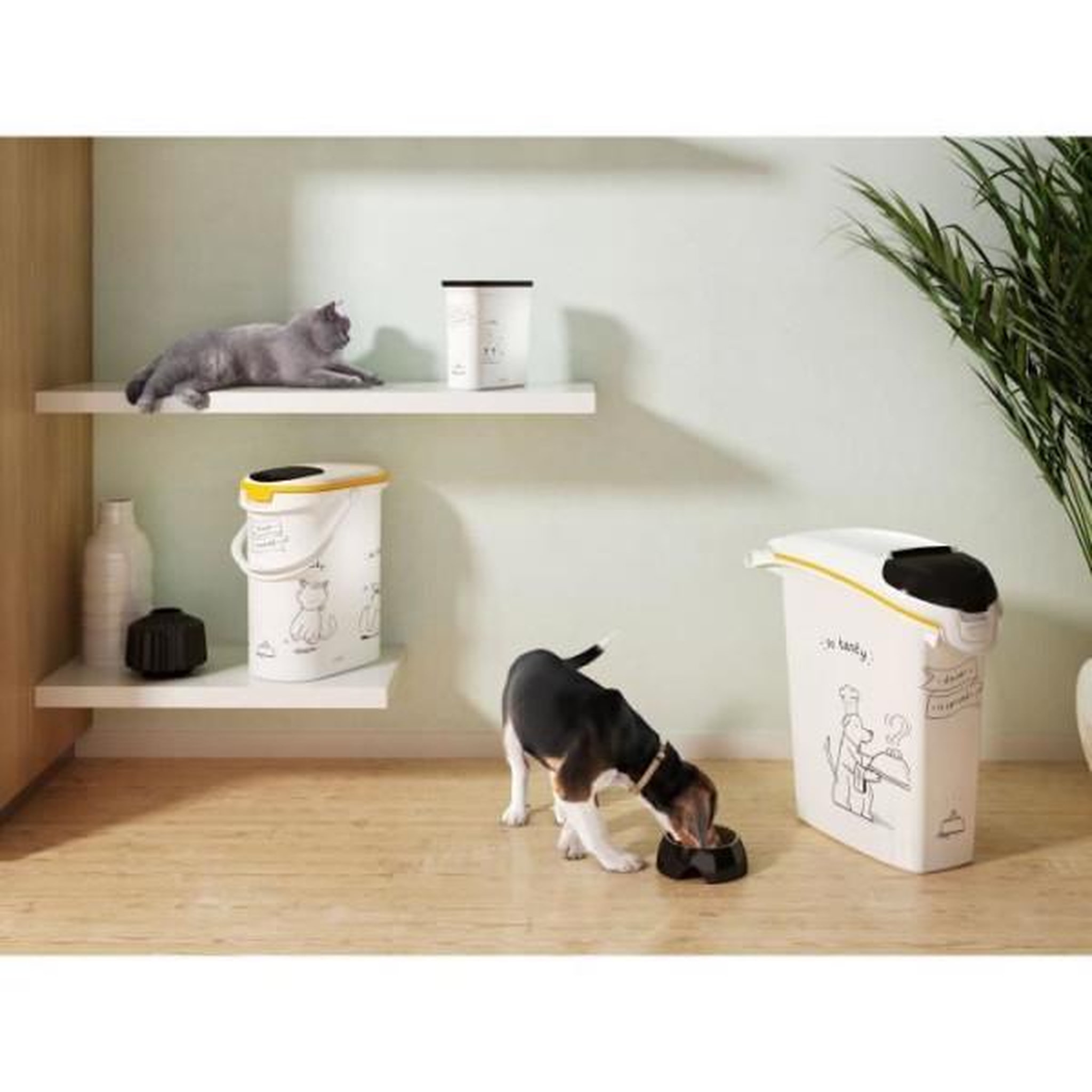 Voir la diapositive 2 : CURVER CURVER Conteneur a croquettes pour chat 4 kg - 10L - Le diner et servi